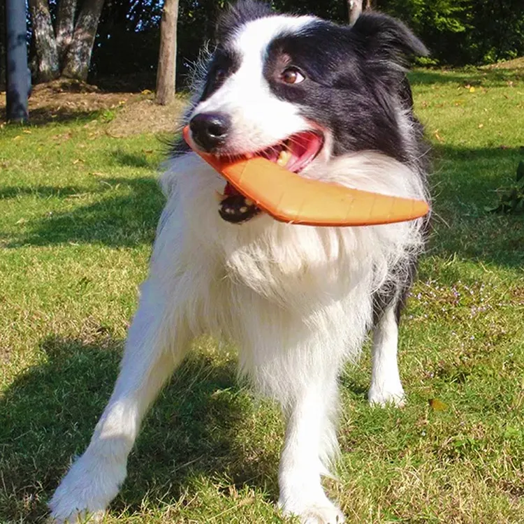 EVA Pet Dart: Ένας πρακτικός οδηγός για την επιλογή ενός ασφαλούς και διασκεδαστικού παιχνιδιού για σκύλους
